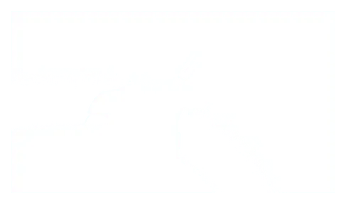 jetx